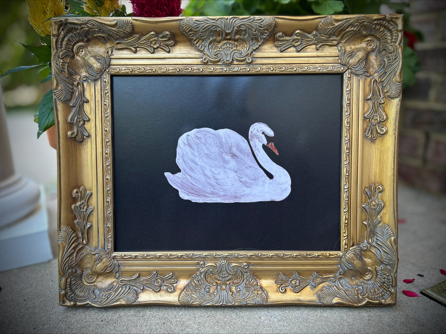 Elegant Museum Quality Swan Print in Ornate Frame