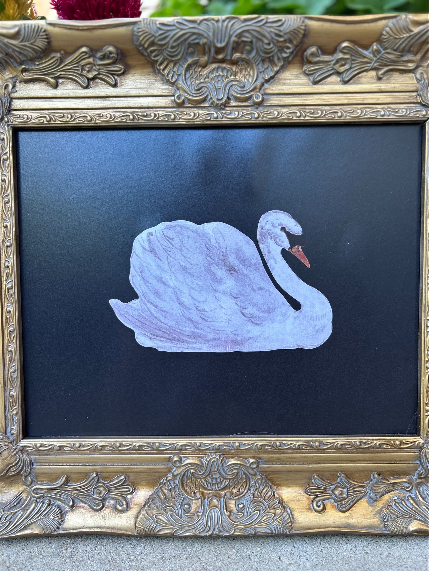 Elegant Museum Quality Swan Print in Ornate Frame