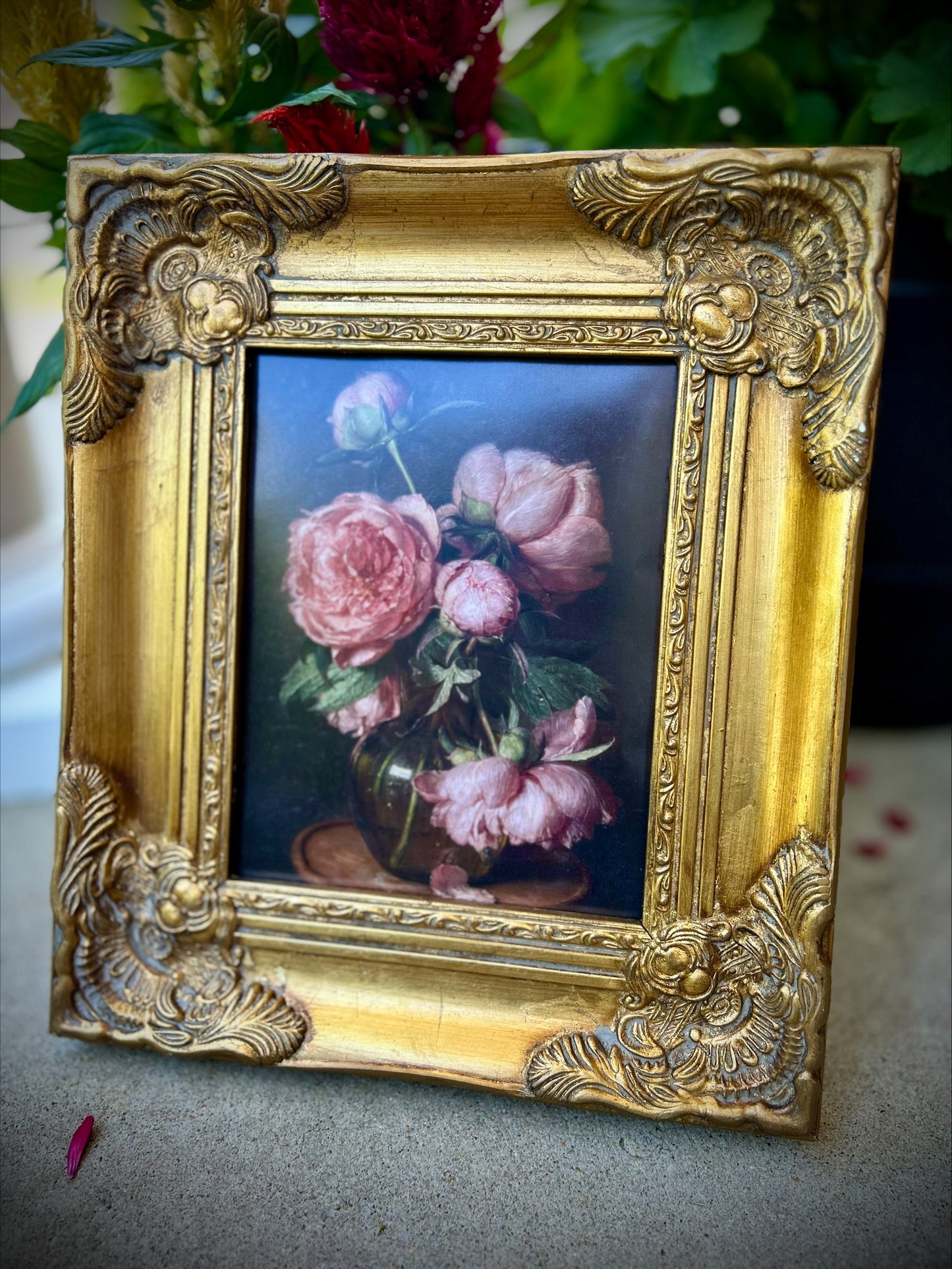 Exquisite Museum Quality Floral Print in Ornate Gold Frame