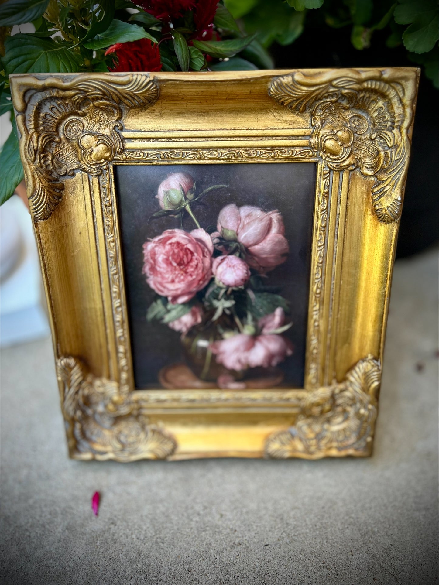 Exquisite Museum Quality Floral Print in Ornate Gold Frame