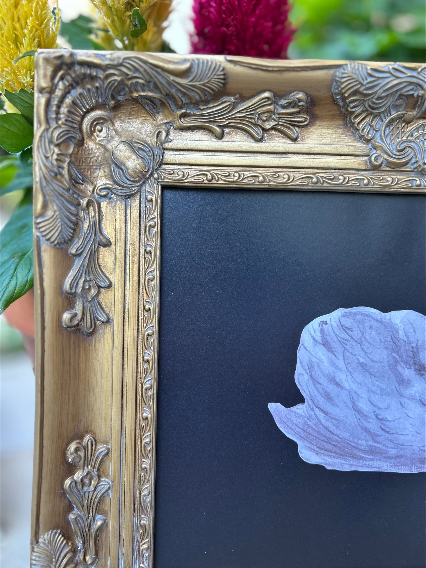 Elegant Museum Quality Swan Print in Ornate Frame