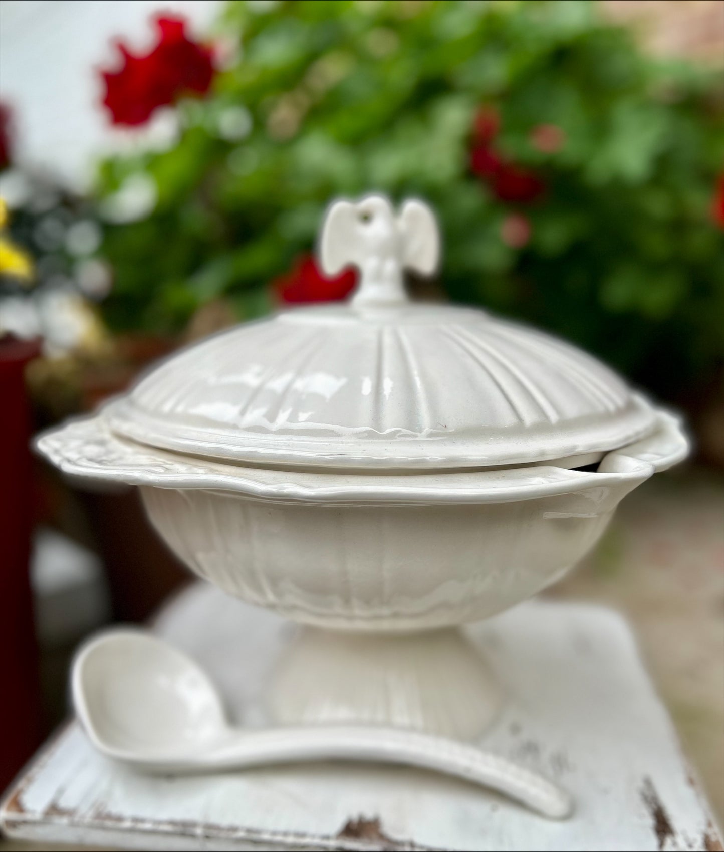 White Soup Tureen with Eagle Finial and Ladle