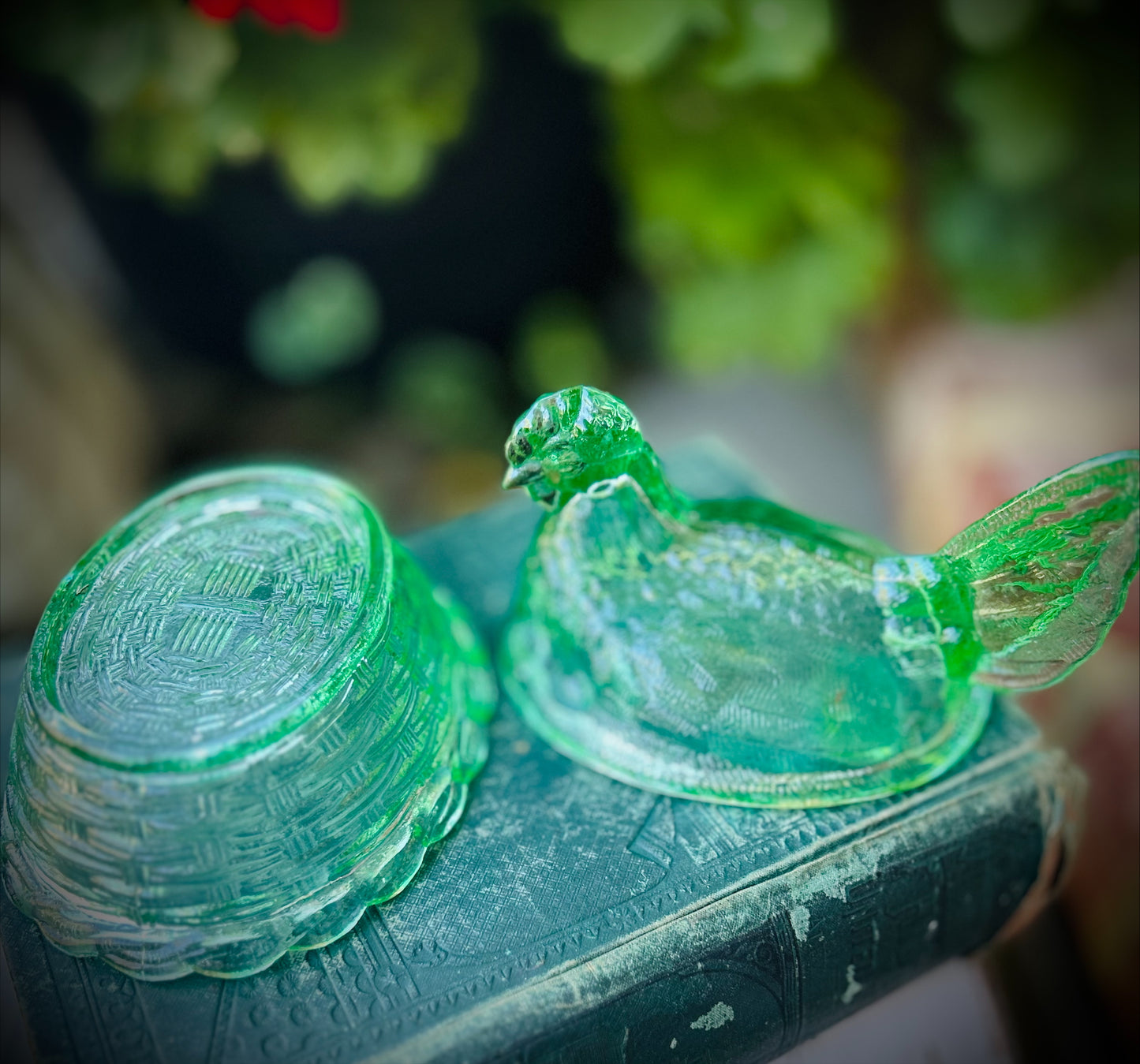 Vintage Green Hen on Nest