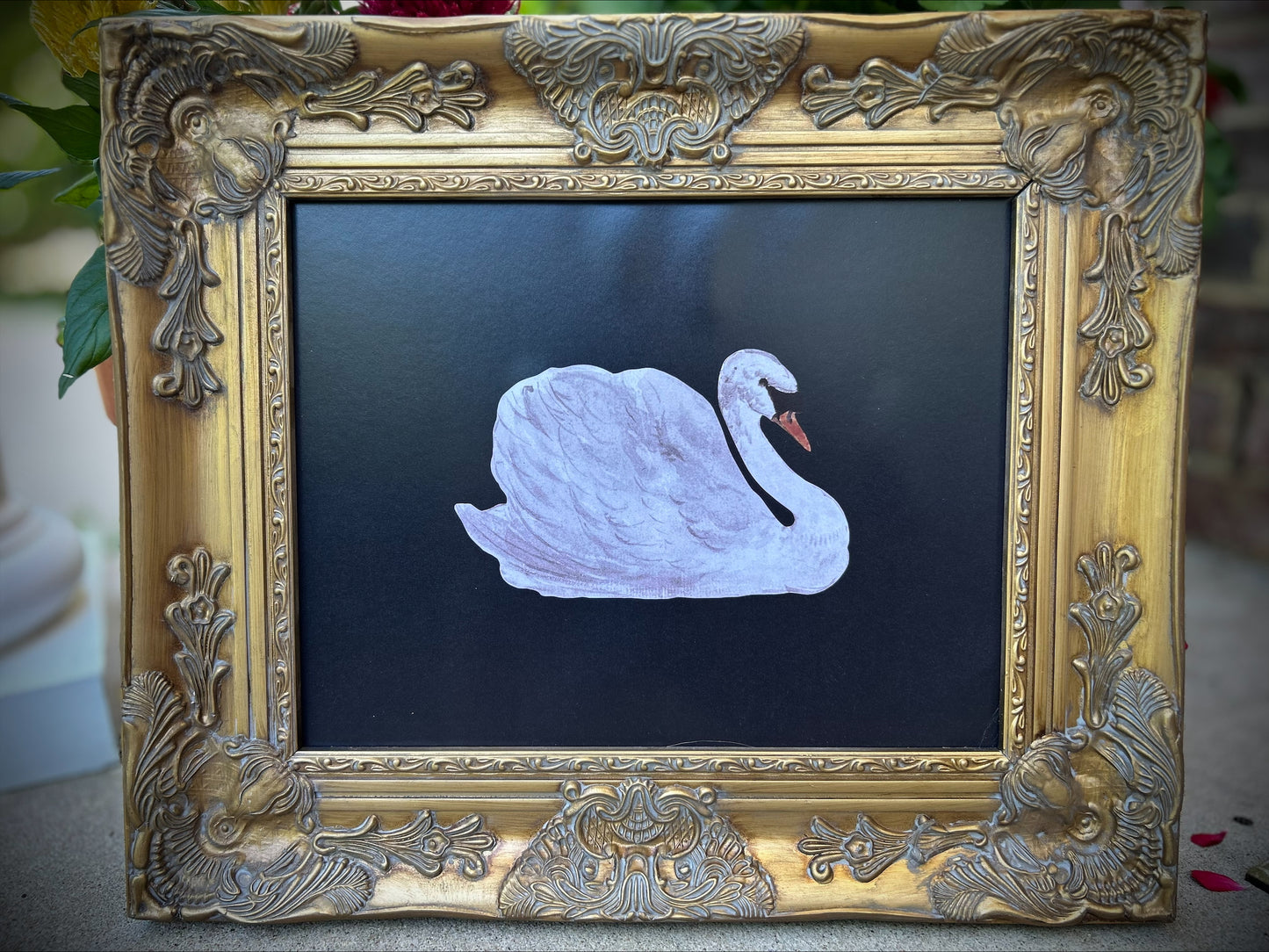 Elegant Museum Quality Swan Print in Ornate Frame