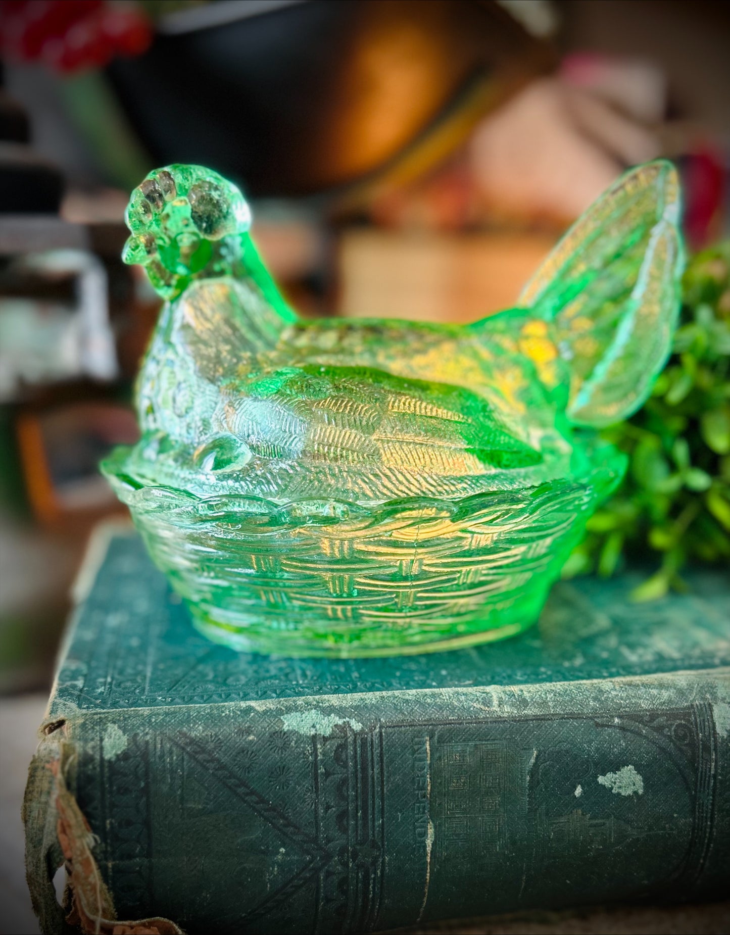 Vintage Green Hen on Nest